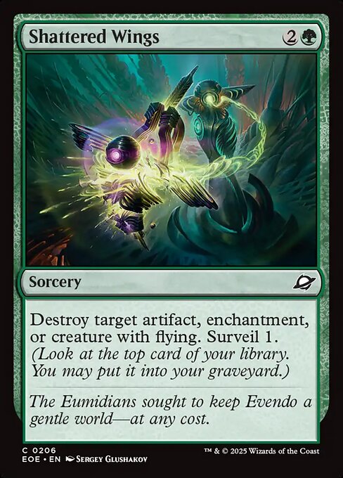 Shattered Wings — Front