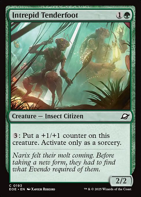 Intrepid Tenderfoot — Front