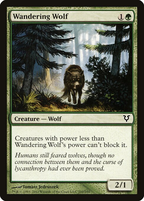 Wandering Wolf — Front