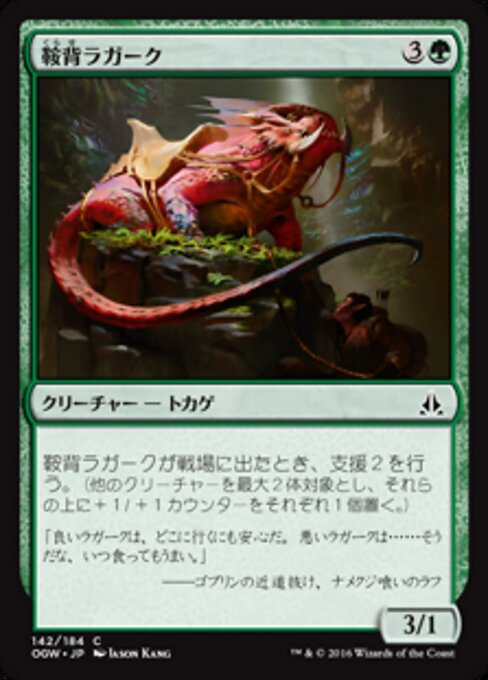 Saddleback Lagac — Front