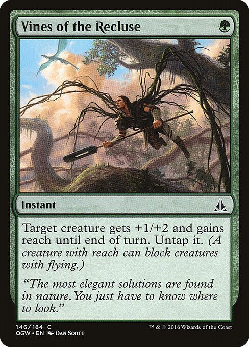 Vines of the Recluse — Front