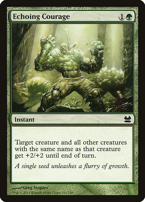 Echoing Courage — Front