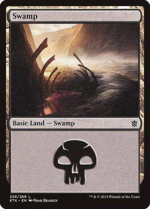 Swamp (258) — Front