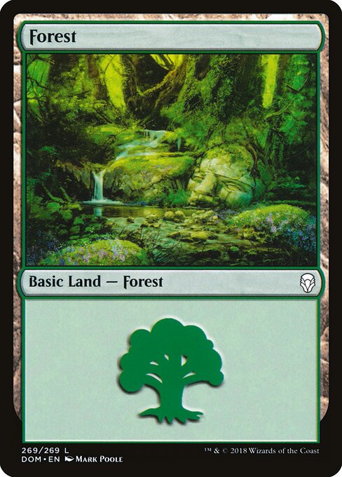 Forest (269) — Front