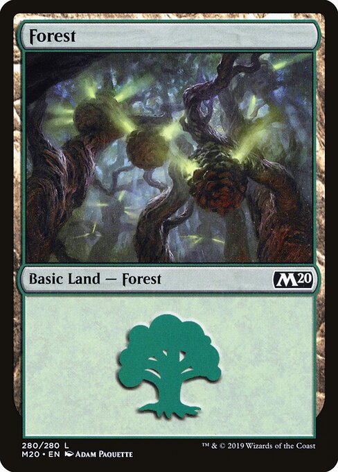 Forest (280) — Front