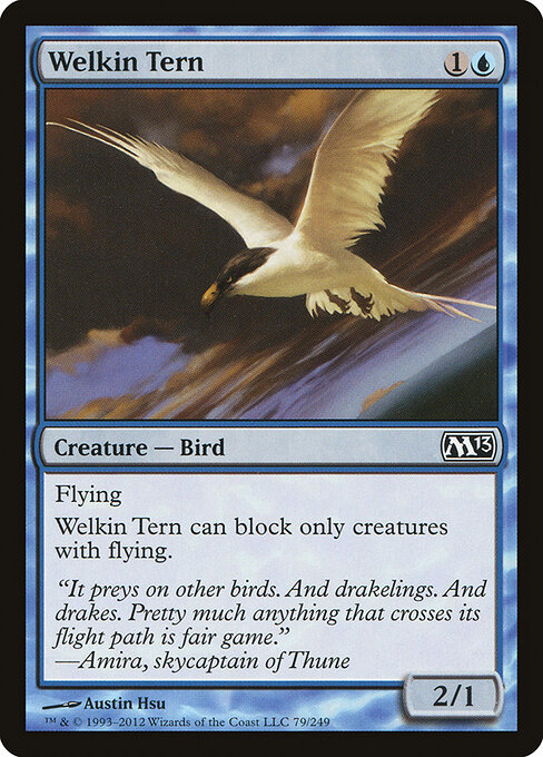 Welkin Tern — Front