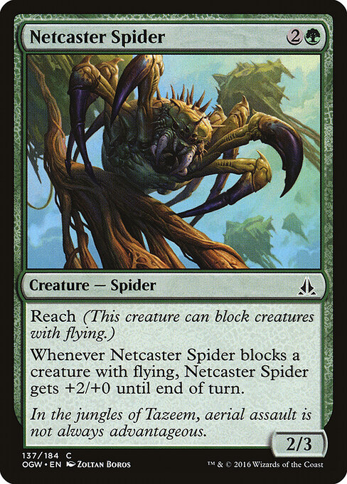 Netcaster Spider — Front