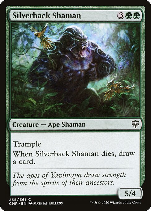 Silverback Shaman — Front
