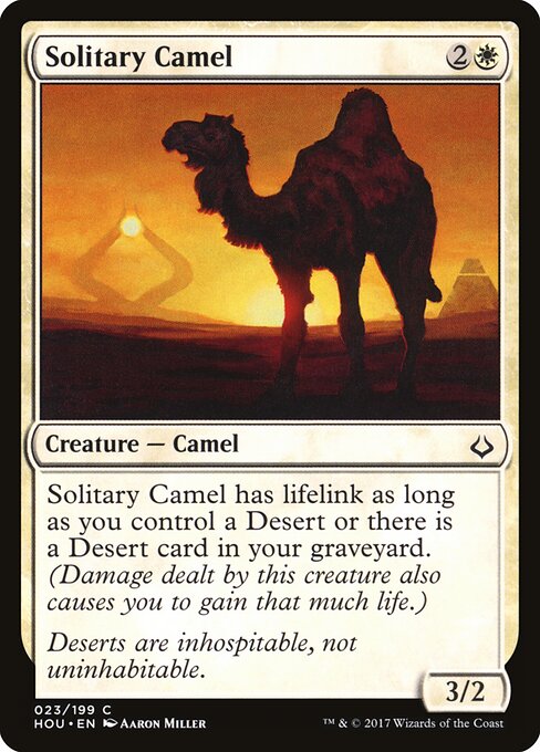 Solitary Camel — Front