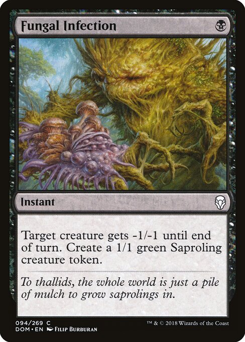 Fungal Infection — Front