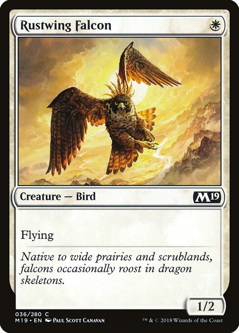 Rustwing Falcon — Front