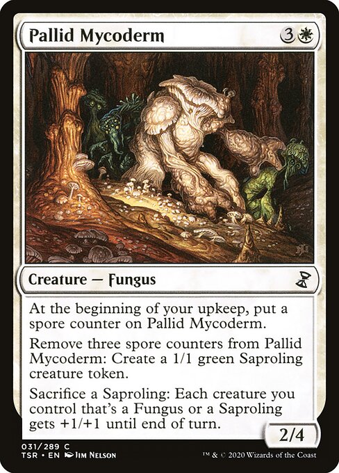 Pallid Mycoderm — Front