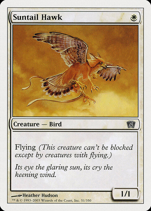 Suntail Hawk — Front