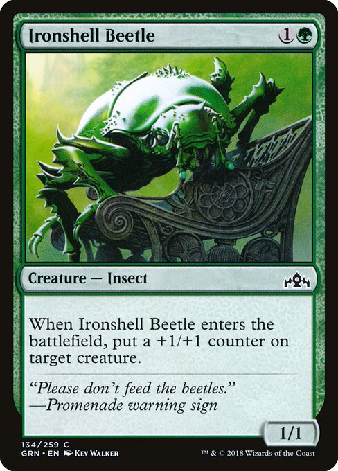 Ironshell Beetle — Front
