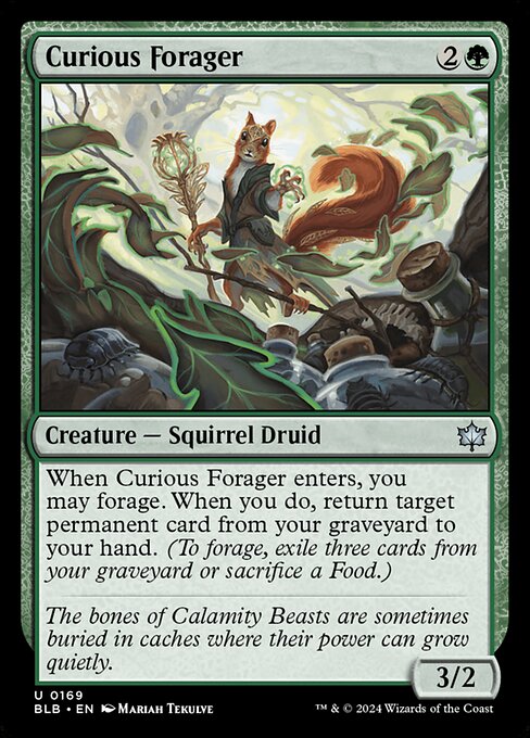 Curious Forager — Front