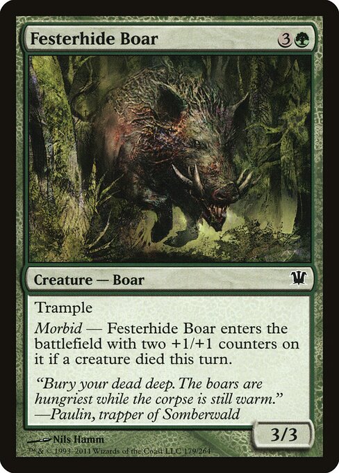 Festerhide Boar — Front