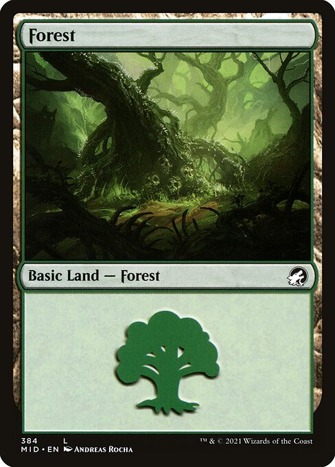 Forest (384) — Front