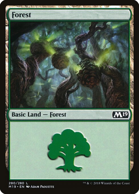 Forest (280) — Front