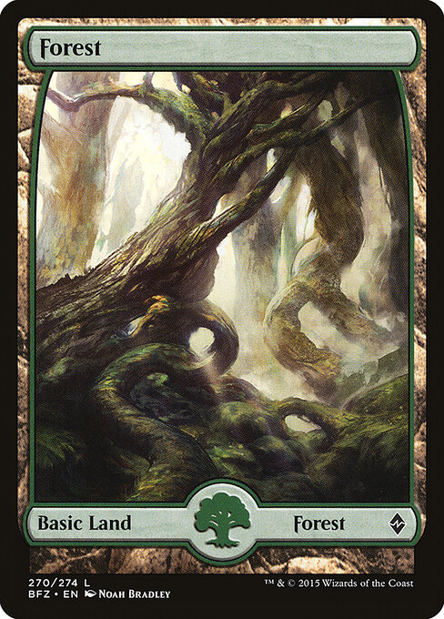 Forest (270) — Front