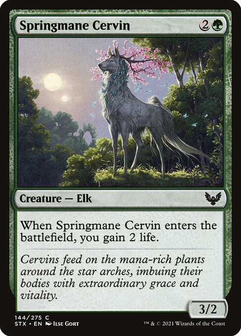 Springmane Cervin — Front