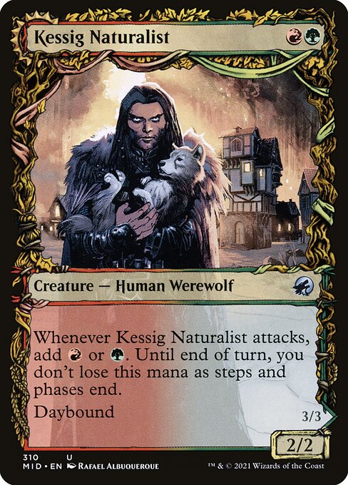 Kessig Naturalist (Showcase) — Front