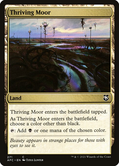 Thriving Moor — Front
